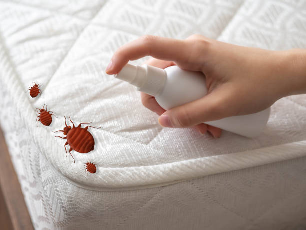 Professional Pest Control in Paulding, OH